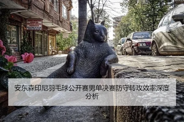 an-dong-sen-yin-ni-yu-mao-qiu-gong-kai-sai-nan-dan-jue-sai-fang-shou-zhuan-gong-xiao-lv-shen-du-fen-xi-2-189.jpg