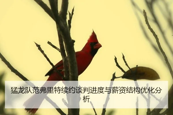 猛龙队范弗里特续约谈判进度与薪资结构优化分析